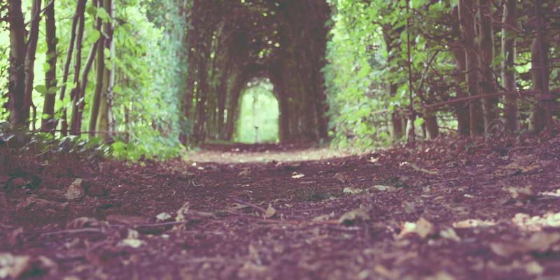 从蓝色主题到简约生活：拆解韩竹子自媒体的商业化密码与变现蓝图