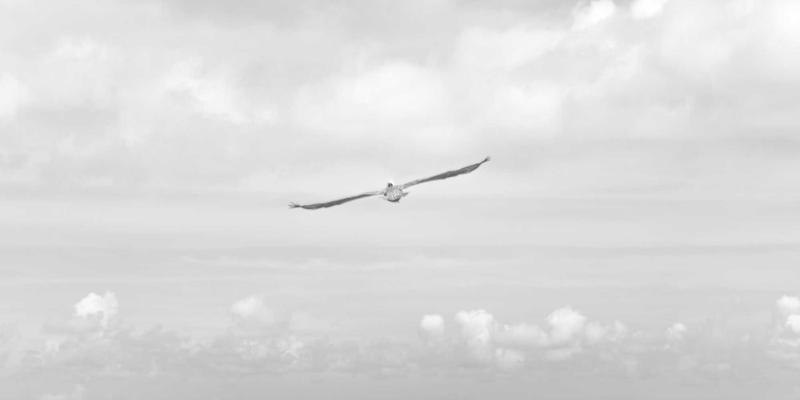 工业风家居DIY全攻略：手把手教你打造韩竹子同款水泥花盆与金属置物架