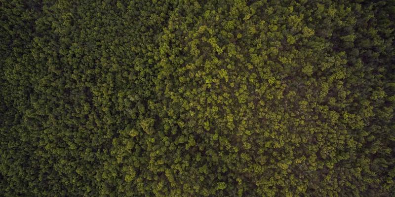 静默中的诗意:解码韩竹子视频中音乐与音效的生活美学与日式禅意