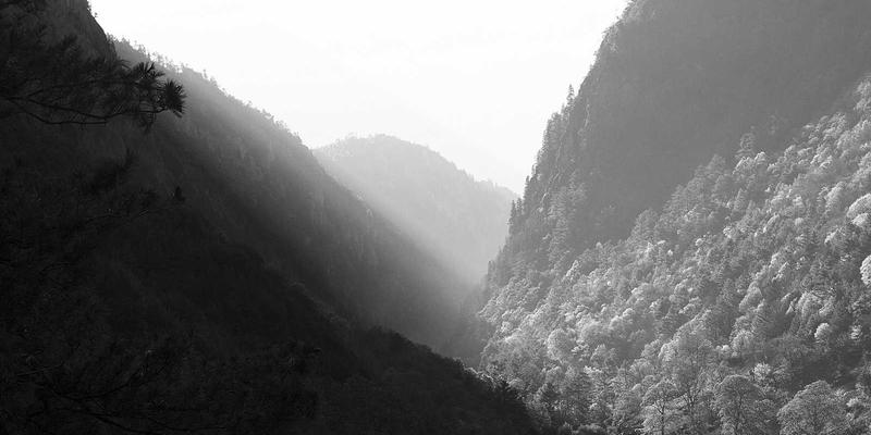 韩竹子美学:解码家居装饰与收纳中的中国文化基因与现代新生